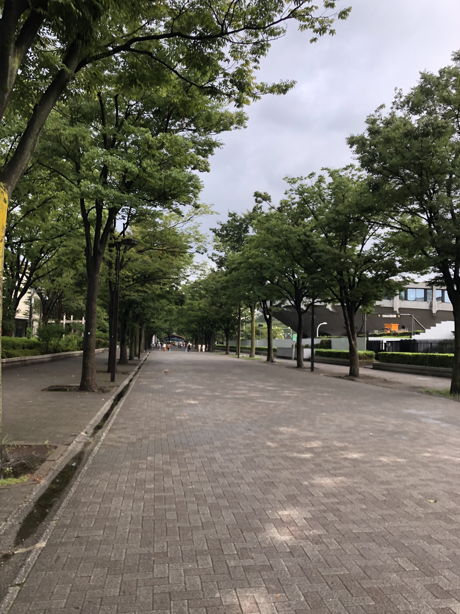 急がば回り道。