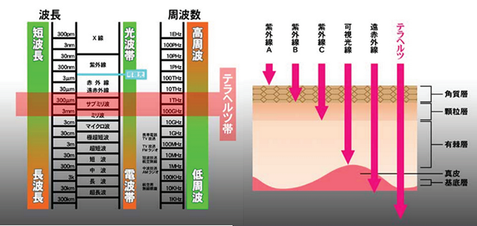 テラヘルツ波と遠赤外線との違い | Energia delle onde di Le Grazie