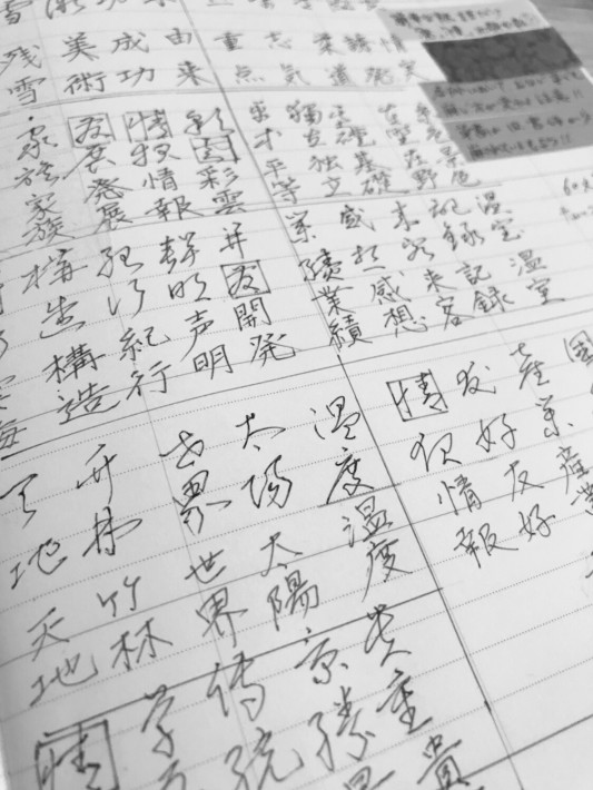 草書 花信風の小筆術