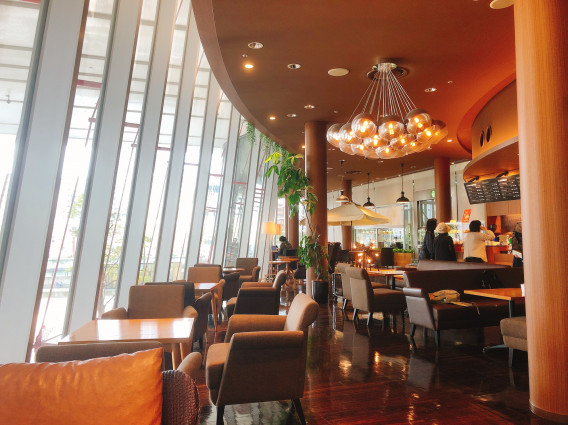 大阪 中之島でゆったりカフェしたいなら Oic Cafe がおすすめ ねこ王子の気ままな日々 大阪 中之島でゆったりカフェしたいなら Oic Cafe がおすすめ ねこ王子の気ままな日々