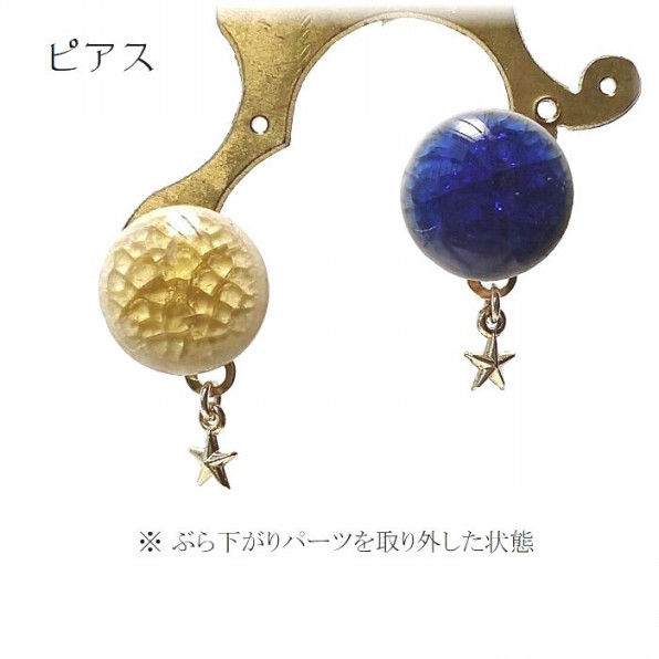 光天体 月と地球 ピアス イヤリング 星と惑星と宇宙・ホタル玉