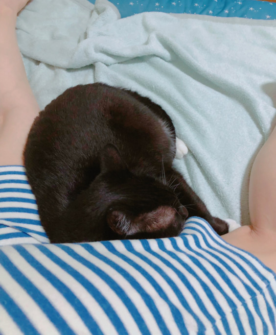 尻枕 おばさんと猫