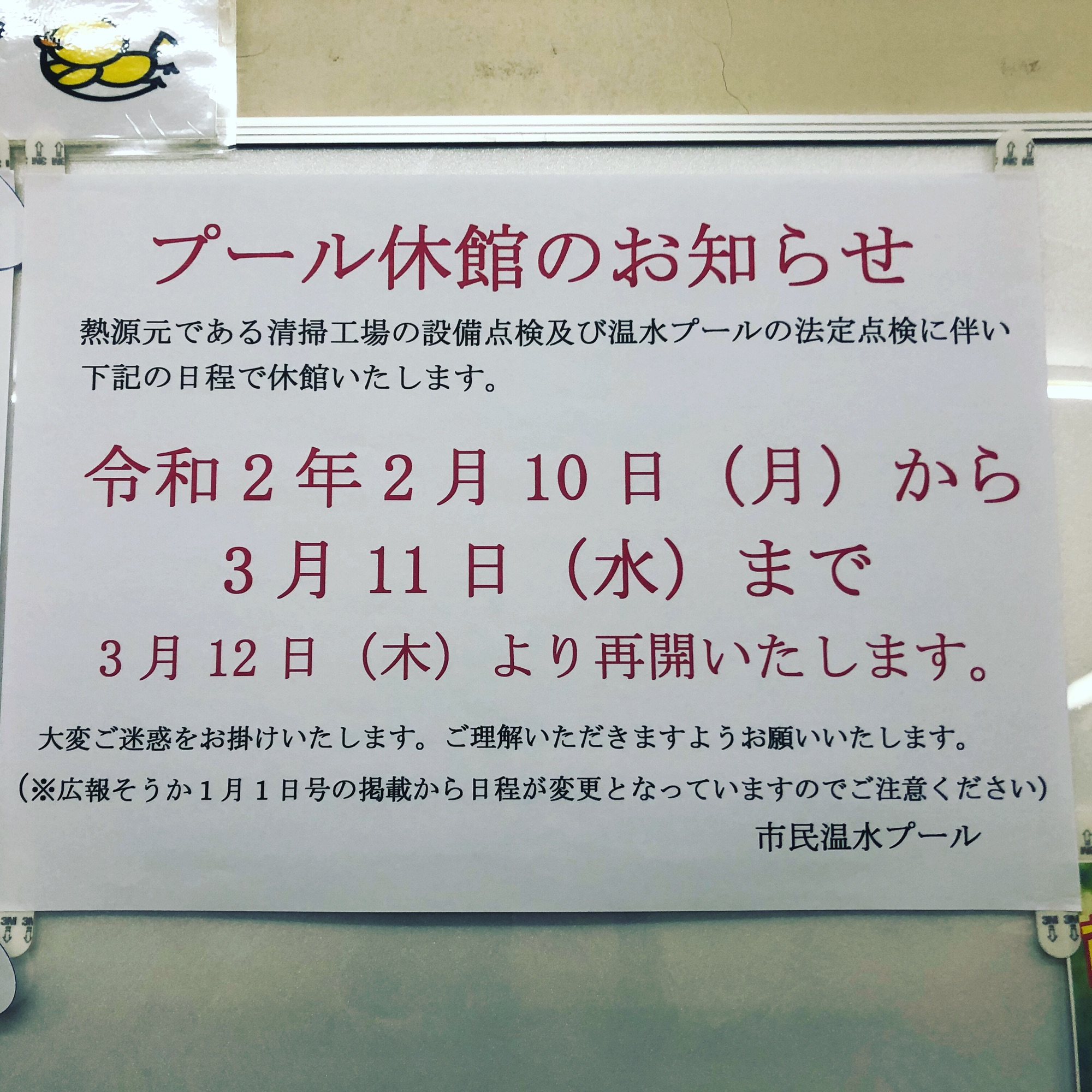 草加市民プールは2 10から休館です Regulus Finswimming Team