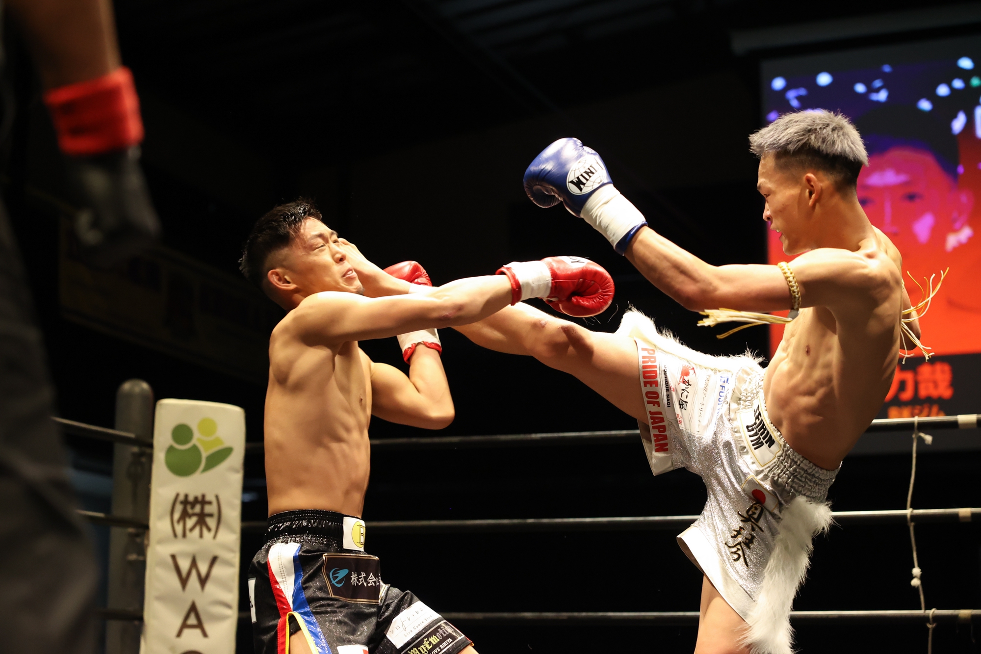 9.24 大阪 DEEP☆KICK 67 -55kg王者・翔磨が怪我で出場辞退