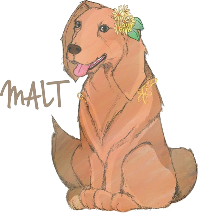 INTRODUCTION PLAY NUTS COMPANY