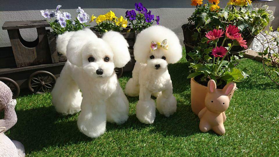 羊毛フェルト工房 ふぁふぁ ｐ ｓ