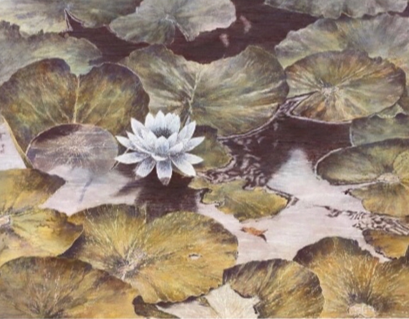 初瀬博輝 『Sanctum』 日本画 - 北海道画廊