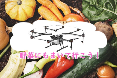 野菜へ散布 ドローン農薬散布 Skyd兵庫