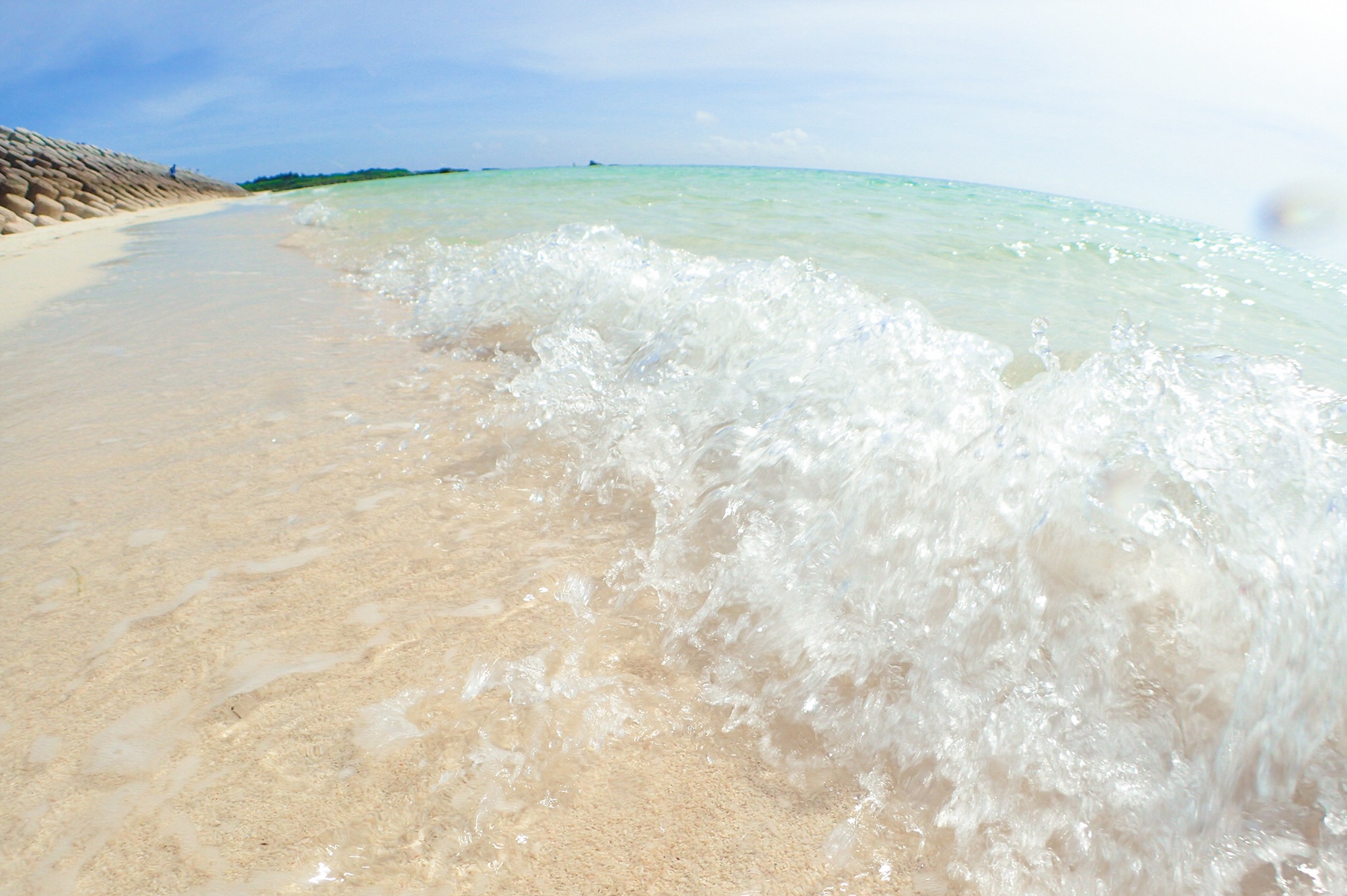 1ヶ月で実感できる体脂肪率を落とす生活 株式会社 ディソナンス