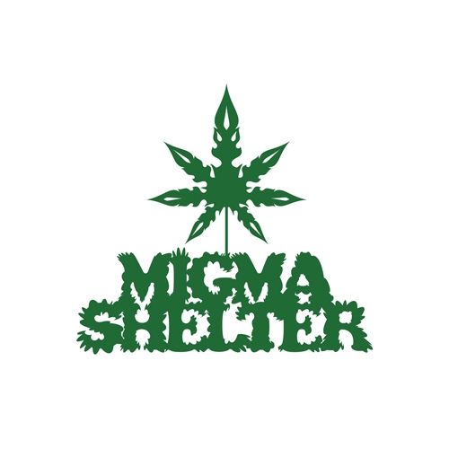 NEWS | MIGMA SHELTER