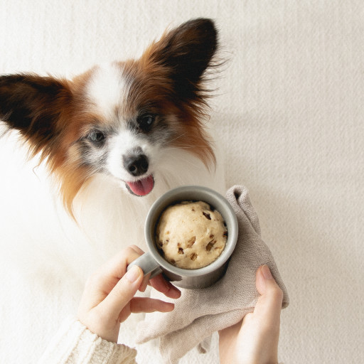 グルテンフリー 小麦不使用 の犬のおやつレシピ 犬ごはん先生いちかわあやこ Official Web Site