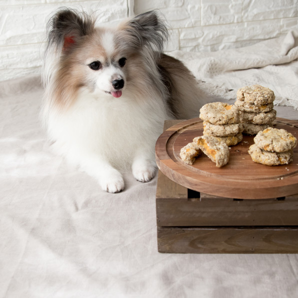 やわらか食感が食べやすい カントリーマアム風オーツ かぼちゃクッキー 手作り犬おやつレシピ 犬ごはん先生いちかわあやこ Official Web Site