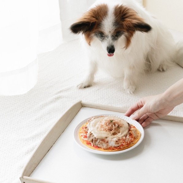 夏祭りの屋台風 そうめんで作る広島焼き 手作り犬ごはんレシピ 犬ごはん先生いちかわあやこ Official Web Site