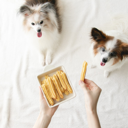 バレンタインに作りたい犬のおやつレシピ 犬ごはん先生いちかわあやこ Official Web Site