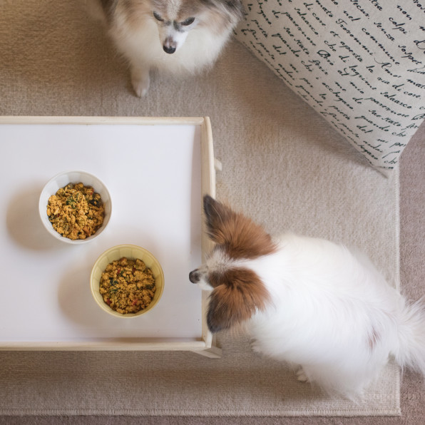 効率のよい食材選びに 鶏肉とレバーと野菜いための作り置き犬ごはん 手作り犬ごはんレシピ 犬ごはん先生いちかわあやこ Official Web Site