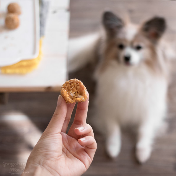 シニア ダイエットわんこに かぼちゃと大豆のマッシュトリュフ 手作り犬おやつレシピ 犬ごはん先生いちかわあやこ Official Web Site