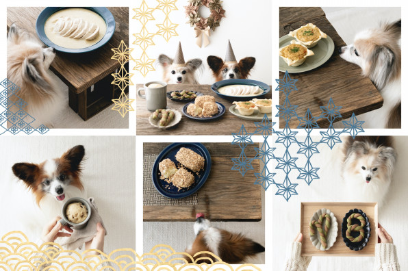 簡単ヘルシー 和テイストのクリスマス犬ごはんと犬おやつのレシピまとめ 犬ごはん先生いちかわあやこ Official Web Site