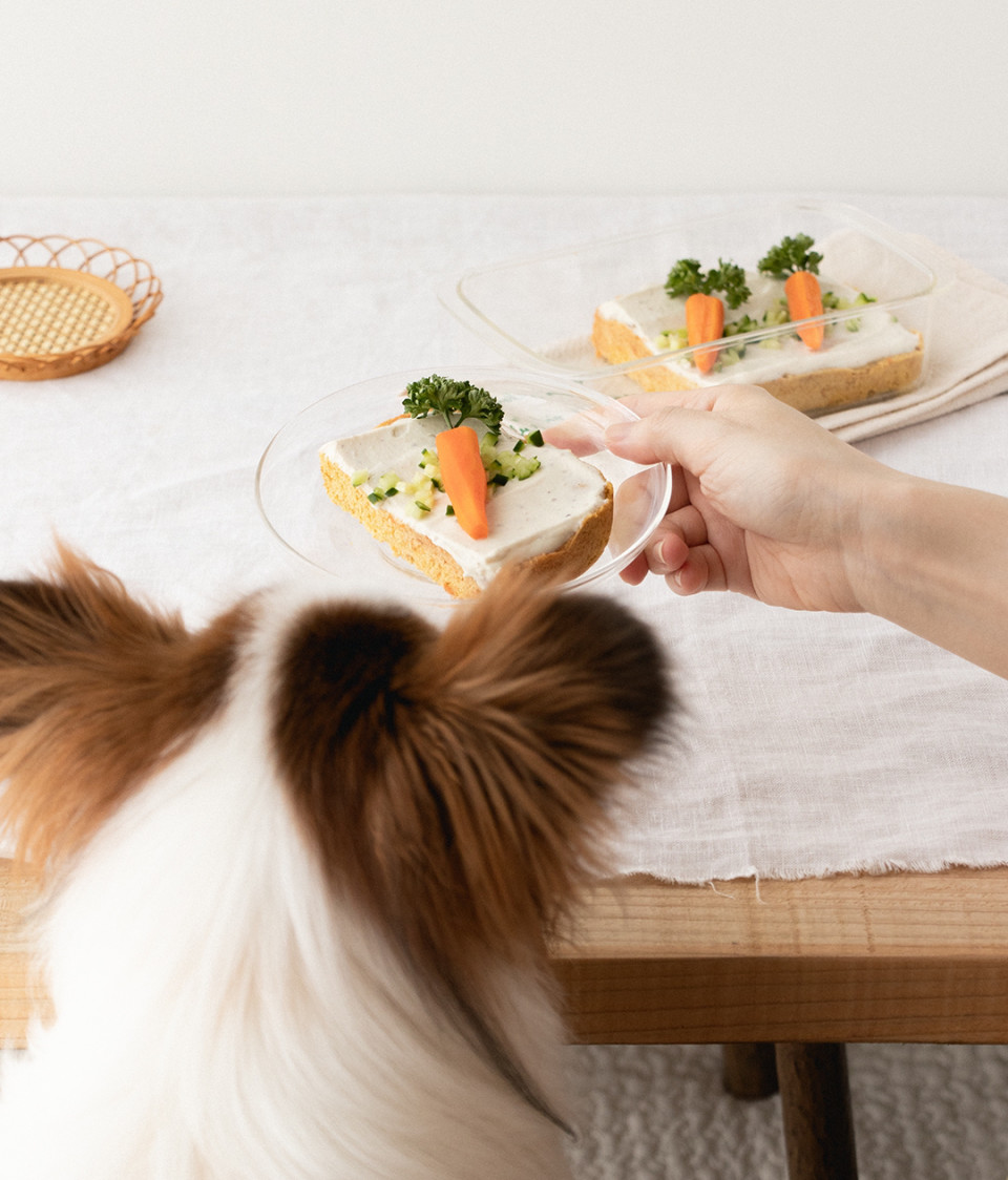 レンジ タッパーで作れる にんじん畑ケーキ 手作り犬おやつレシピ 犬ごはん先生いちかわあやこ Official Web Site