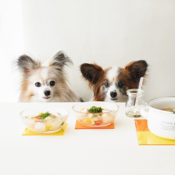カロリー控えめ タラと焼き麩のスープごはん 月額限定 手作り犬ごはんレシピ 犬ごはん先生いちかわあやこ Official Web Site