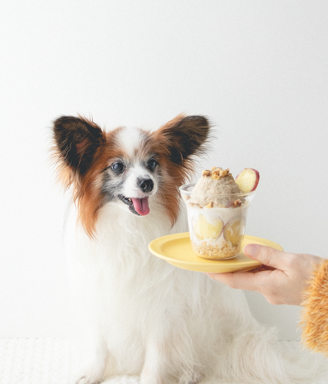 甘栗とさつまいものモンブランパフェ 手作り犬おやつレシピ 犬ごはん先生いちかわあやこ Official Web Site