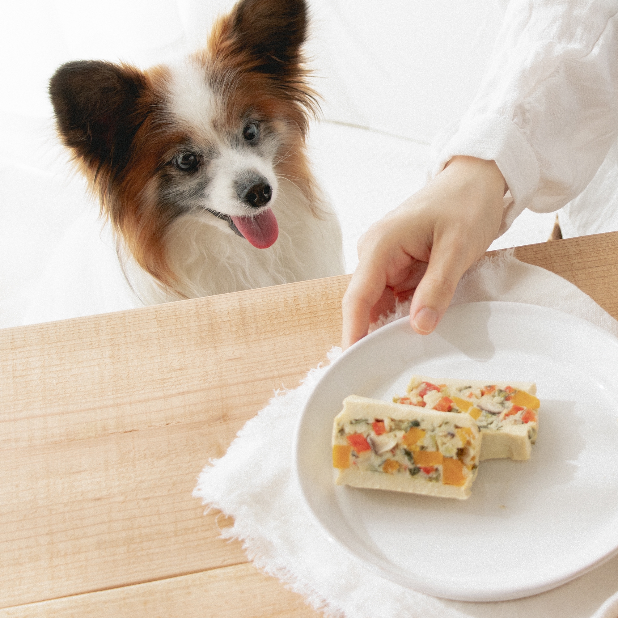 Recipe 犬ごはん先生いちかわあやこ Official Web Site