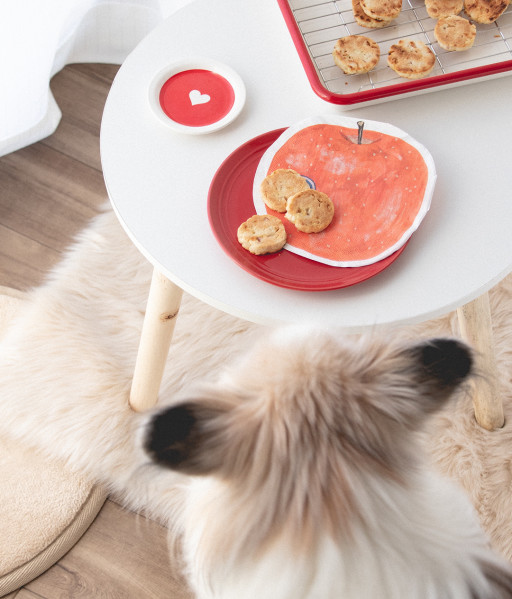 フルーツを使った犬のおやつレシピ 犬ごはん先生いちかわあやこ Official Web Site