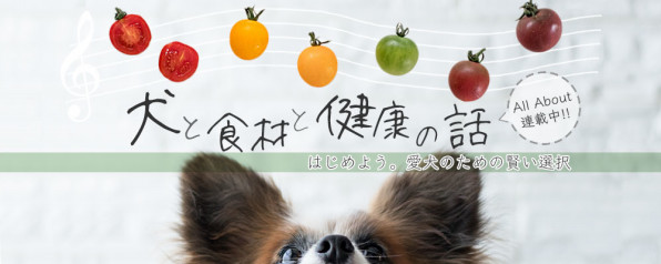 Ingredients List 犬ごはん先生いちかわあやこ Official Web Site