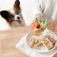 とんこつラーメンをスープから作る 中華麺は犬に与えて大丈夫か考えてみる 犬ごはん先生いちかわあやこ Official Web Site