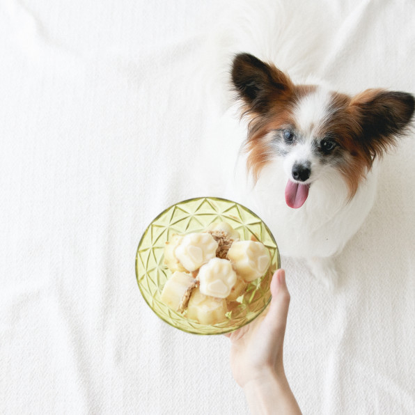 製氷皿でok さつまいもとヨーグルトのアイスタルト 手作り犬おやつレシピ 犬ごはん先生いちかわあやこ Official Web Site