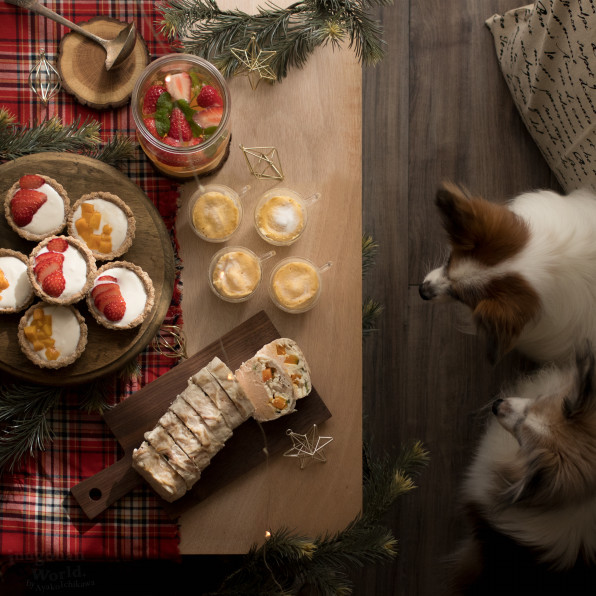 お手軽なのに豪華 クリスマスのための手作り犬おやつレシピ 17 犬ごはん先生いちかわあやこ Official Web Site