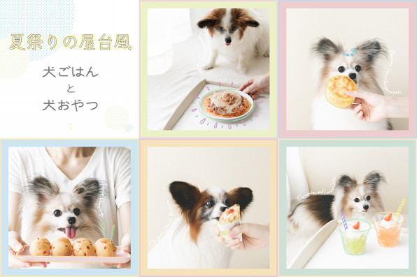 夏祭りの屋台メニューみたいな犬ごはんと犬おやつレシピ 犬ごはん先生いちかわあやこ Official Web Site