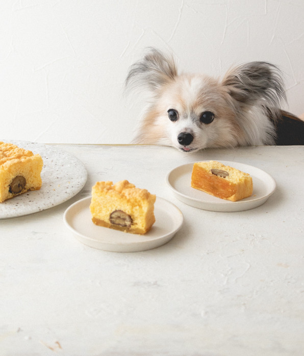 干し芋と甘栗の米粉パウンドケーキ 手作り犬おやつレシピ 犬ごはん先生いちかわあやこ Official Web Site