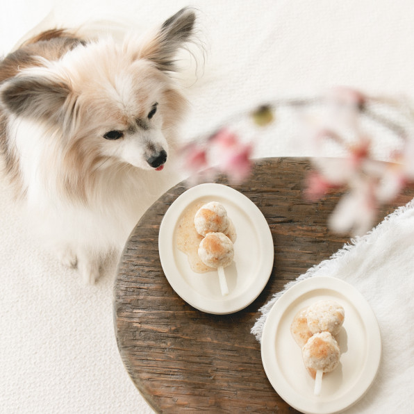 かつおソースのみたらし肉団子 手作り犬おやつレシピ 犬ごはん先生いちかわあやこ Official Web Site
