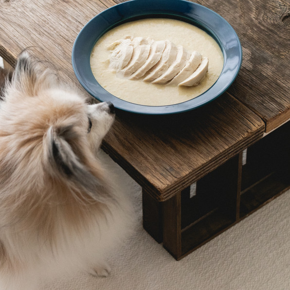 冷凍野菜でok コーンと里芋のクリームとチキンのスープ 手作り犬おやつレシピ 犬ごはん先生いちかわあやこ Official Web Site