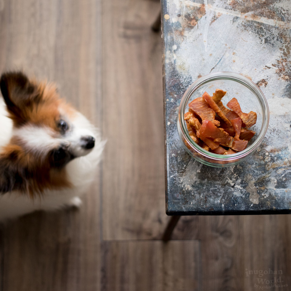 材料ひとつ まぐろのジャーキー 手作り犬おやつレシピ 犬ごはん先生いちかわあやこ Official Web Site