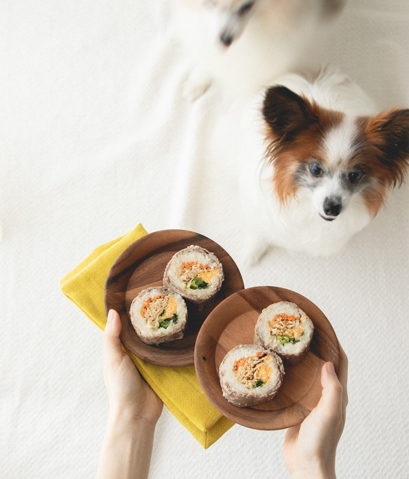 海苔不要 ほぐしやすい犬の肉巻き寿司 月額限定 手作り犬ごはんレシピ 犬ごはん先生いちかわあやこ Official Web Site
