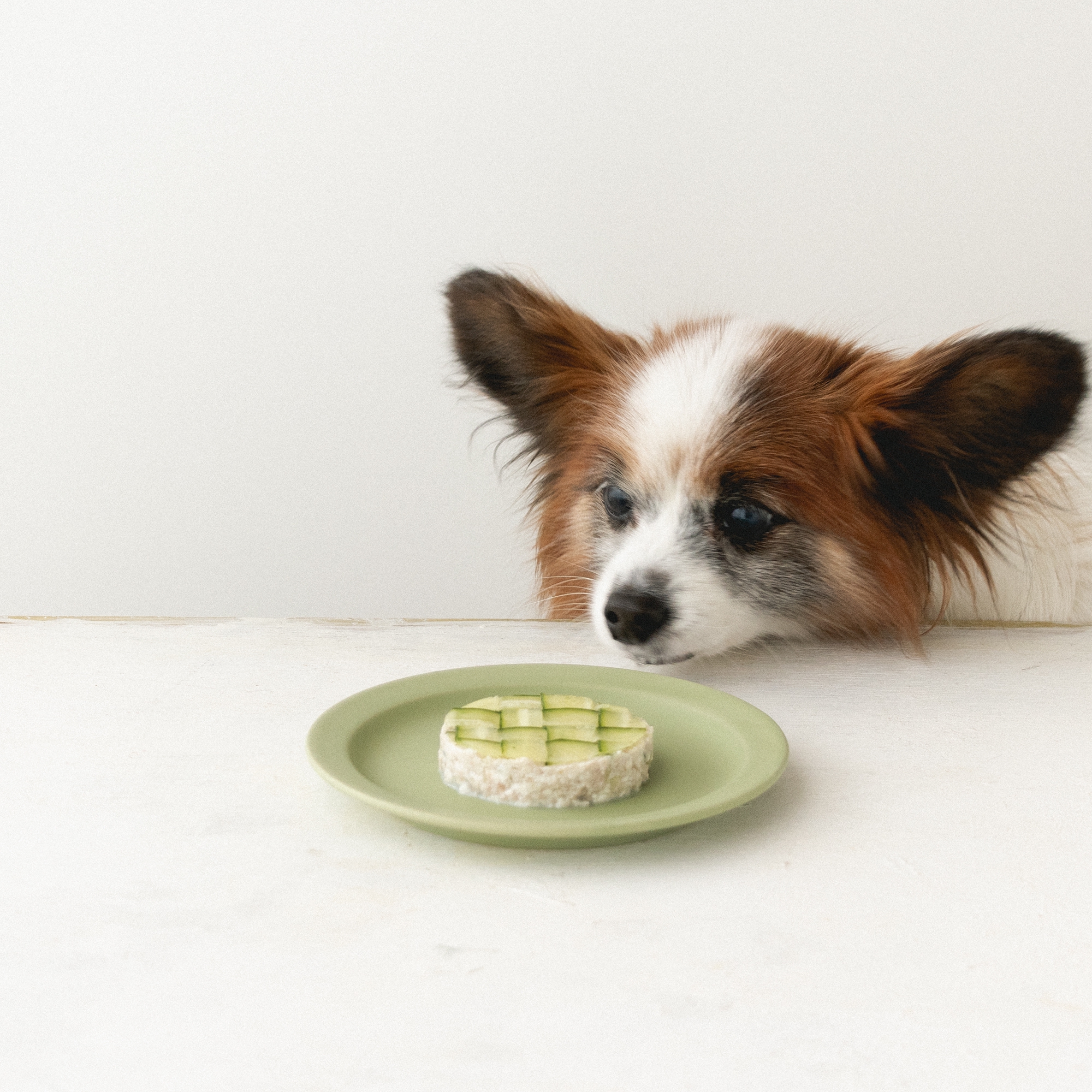野菜を使った犬のおやつレシピ 犬ごはん先生いちかわあやこ Official Web Site