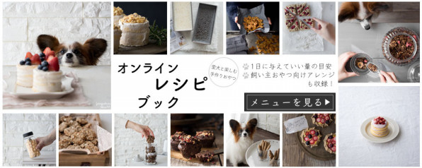 犬ごはん先生いちかわあやこ Official Web Site