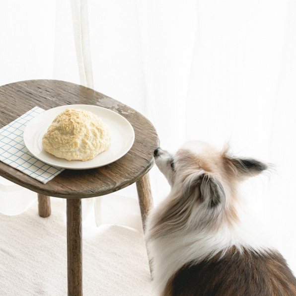 焼き型 発酵 油 砂糖なし 白ごまのふわもこ雲ぱん 手作り犬おやつレシピ 犬ごはん先生いちかわあやこ Official Web Site