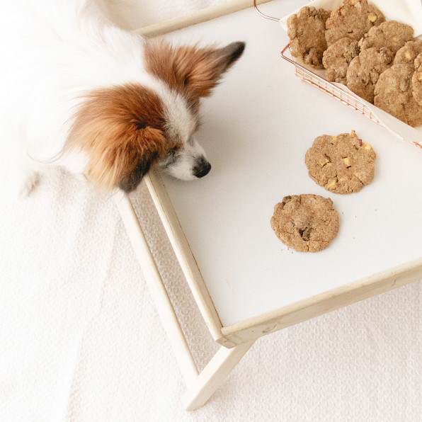 型抜き不要 ビーフ さつまいもチャンククッキー 手作り犬おやつレシピ 犬ごはん先生いちかわあやこ Official Web Site