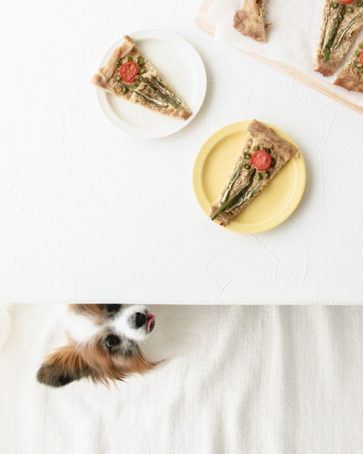 グルテンフリー 小麦不使用 の犬のおやつレシピ 犬ごはん先生いちかわあやこ Official Web Site グルテンフリー 小麦不使用 の犬のおやつレシピ 犬ごはん先生いちかわあやこ Official Web Site