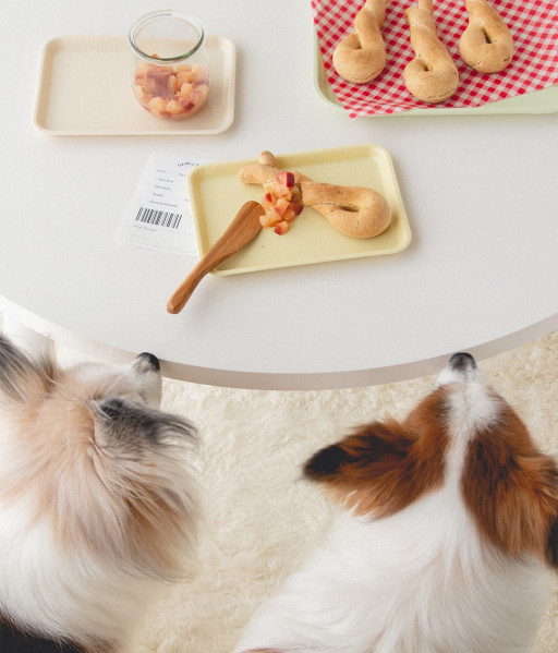 フルーツを使った犬のおやつレシピ 犬ごはん先生いちかわあやこ Official Web Site