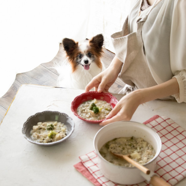 冷凍作り置き お鍋ひとつで煮込み犬ごはん 月額限定 手作り犬ごはんレシピ 犬ごはん先生いちかわあやこ Official Web Site