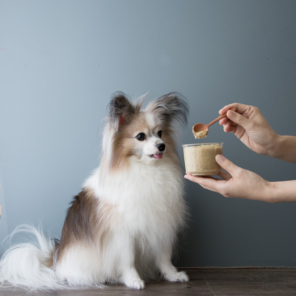 トッピングや薬を飲ませる時にも 栗とさつまいものスイートクリーム 手作り犬おやつレシピ 犬ごはん先生いちかわあやこ Official Web Site