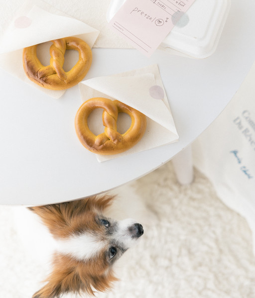 ハロウィンに作りたい犬のおやつレシピ 犬ごはん先生いちかわあやこ Official Web Site