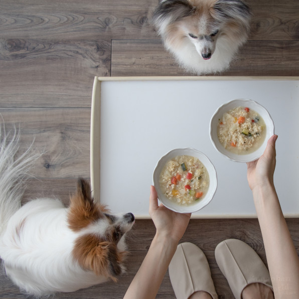 月額限定 鶏ひき肉とじゃがいものヨーグルトスープ犬ごはん 手作り犬ごはんレシピ 犬ごはん先生いちかわあやこ Official Web Site