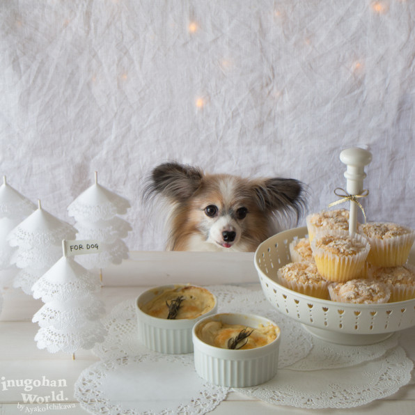 12月限定 愛犬のためのクリスマスディナーとスイーツ 犬ごはん先生いちかわあやこ Official Web Site 12月限定 愛犬のためのクリスマスディナーとスイーツ 犬ごはん先生いちかわあやこ Official Web Site