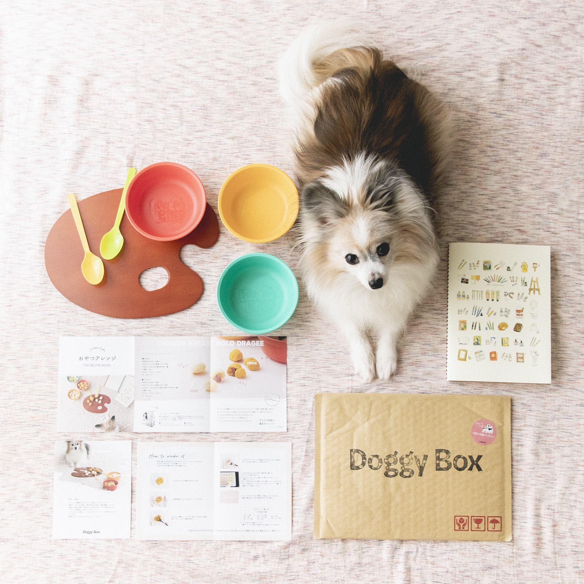 Doggy Box 3月 犬おやつアレンジレシピ | 犬ごはん先生いちかわあやこ ...