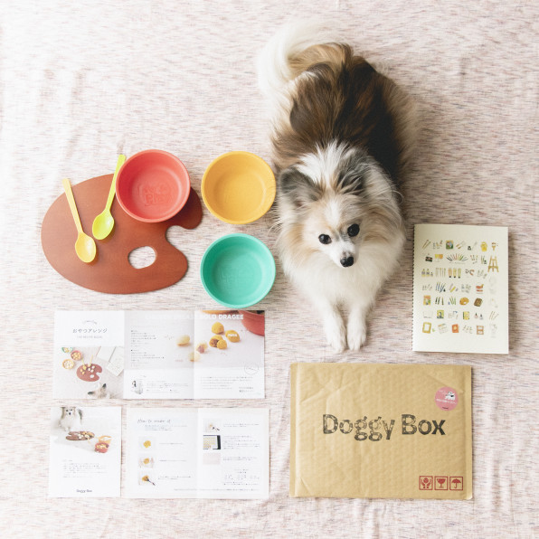 Doggy Box 3月 犬おやつアレンジレシピ 犬ごはん先生いちかわあやこ Official Web Site