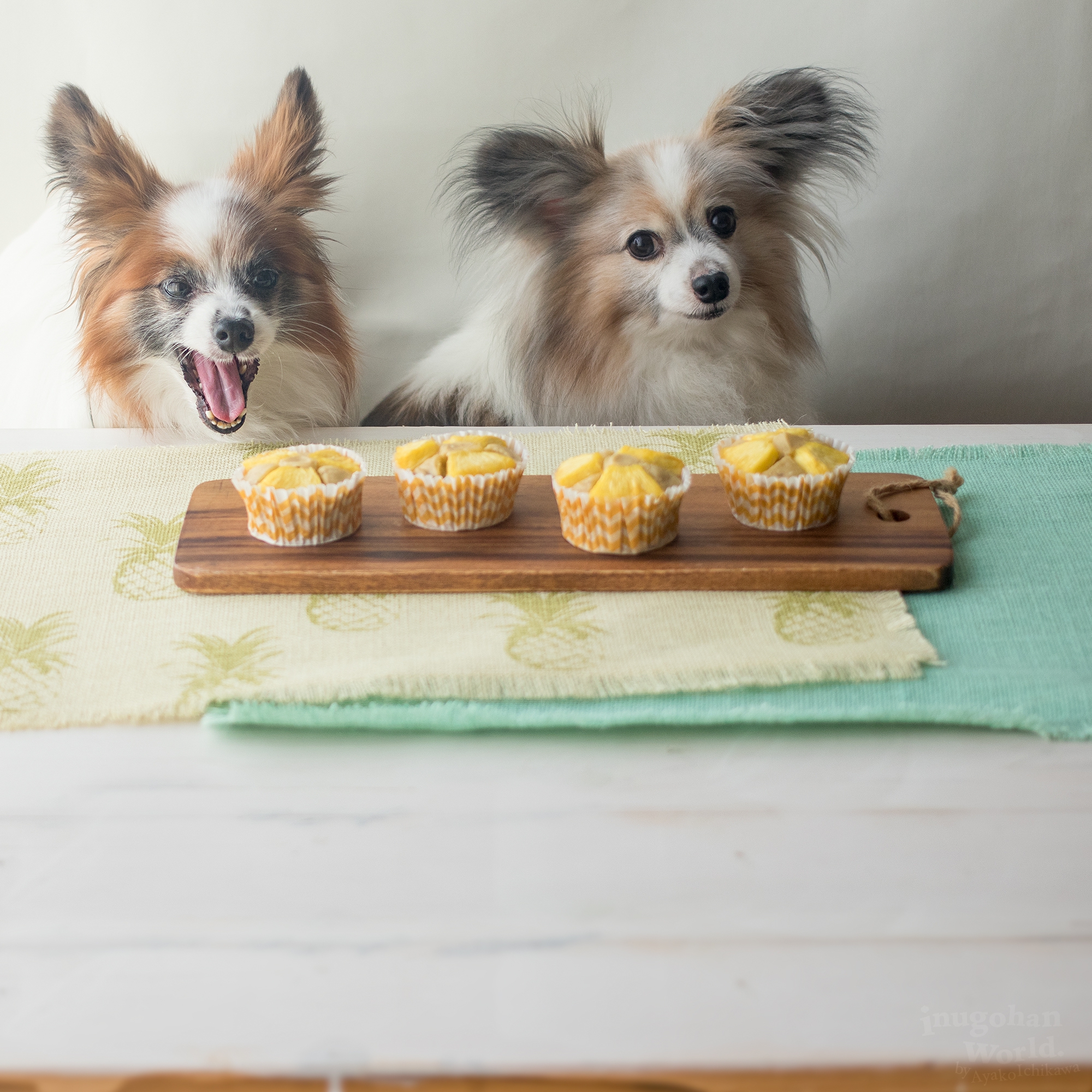 ボウルでぐるぐる混ぜるだけ パイナップルとバナナのしっとりカップケーキ 手作り犬おやつレシピ 犬ごはん先生いちかわあやこ Official Web Site